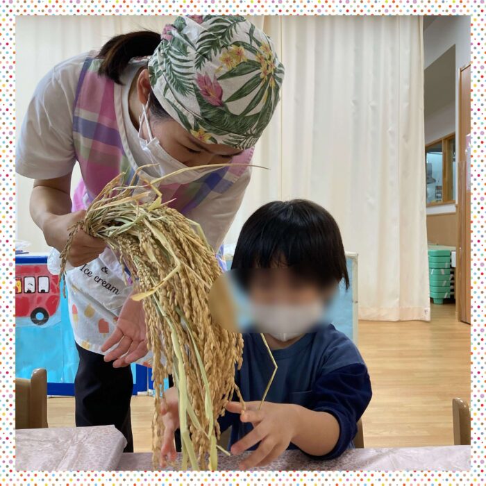ルミナ川崎食育＿稲に触れる園児と栄養士