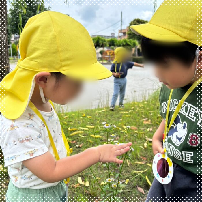 星のおうち新松戸