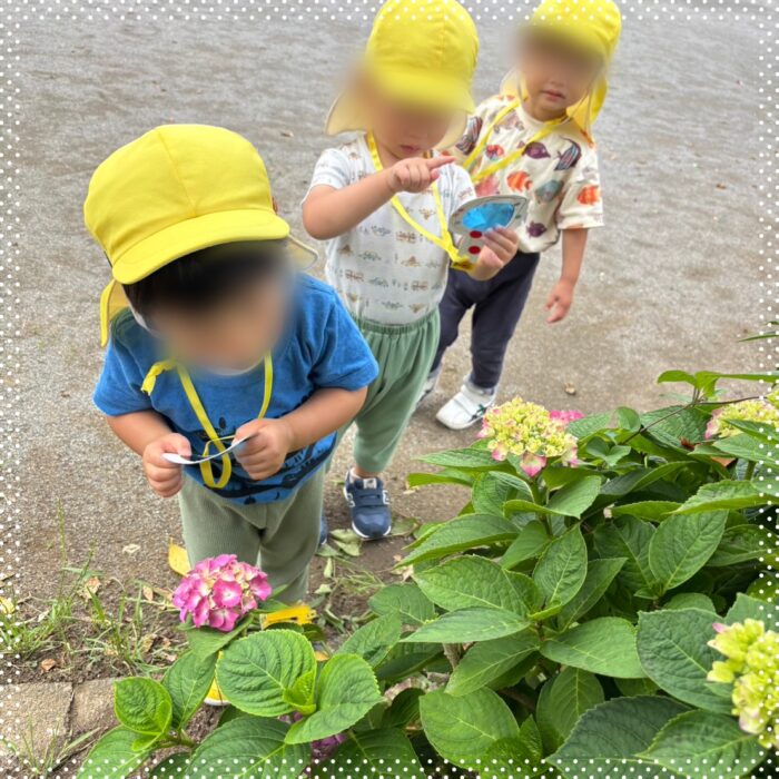 星のおうち新松戸