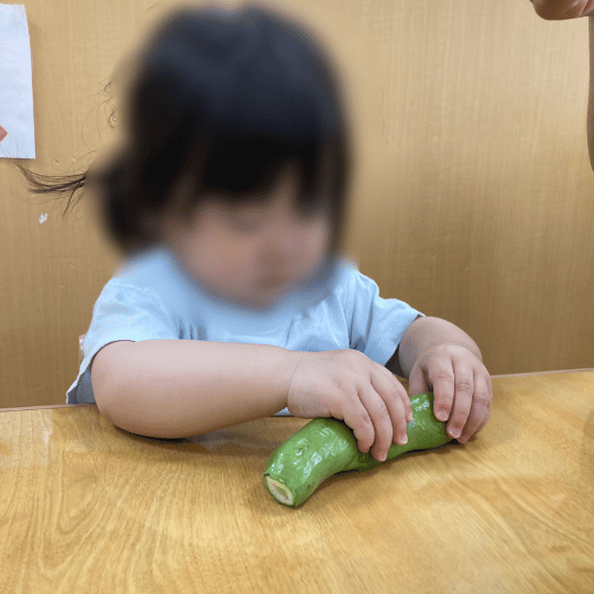 そら豆を触る1歳児