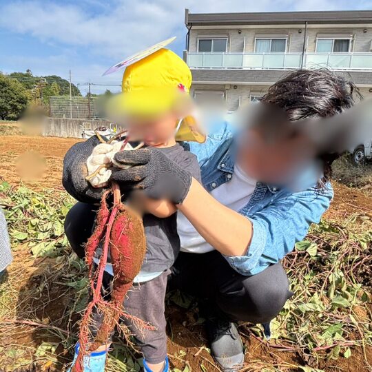 星のおうち新松戸　親子遠足　芋掘りする子どもと保護者