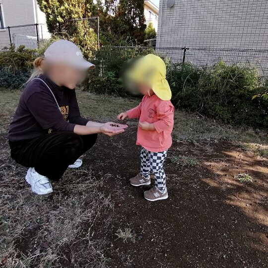拾ったどんぐりを渡す園児