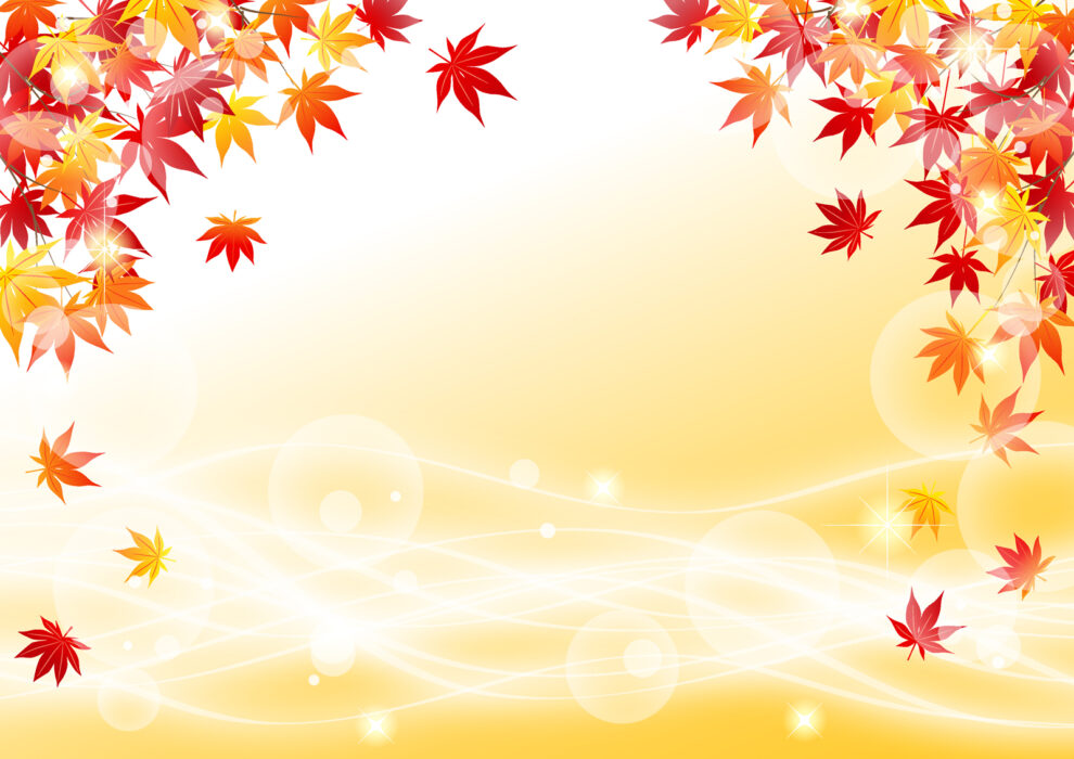 ルミナ川崎の活動紹介