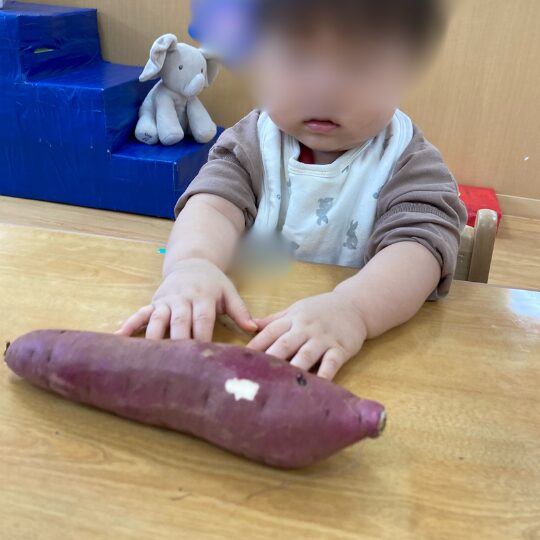 0歳児の食育活動
