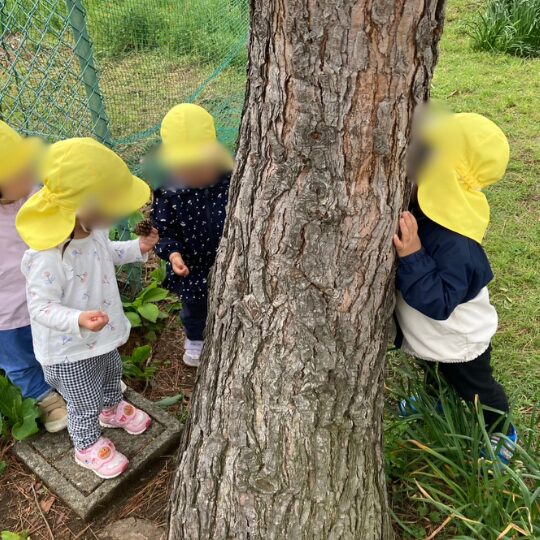 星のおうち幕張　保育園の活動　2026年4月