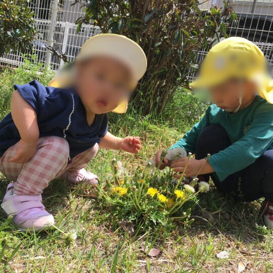 星のおうち幕張北で草花遊びを楽しむ子どもたちの様子