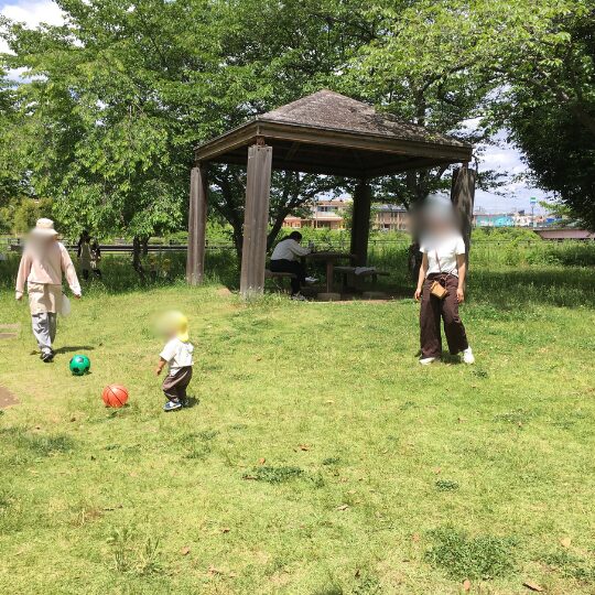 保育参観で公園で遊ぶ保育園児
