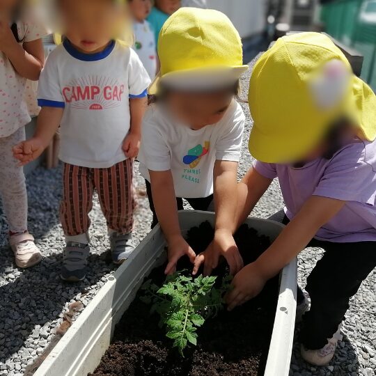 苗を植える2歳児