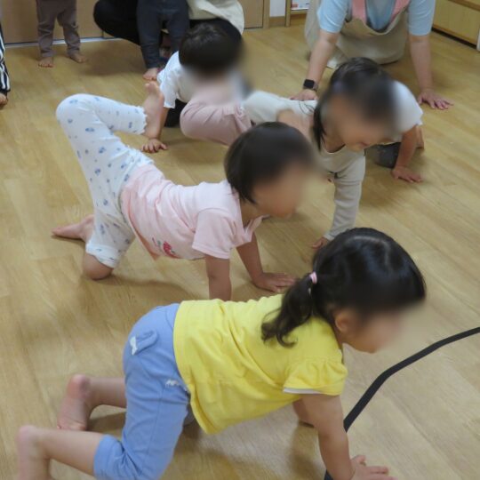「よつんばいからてあしをのばして」をする園児