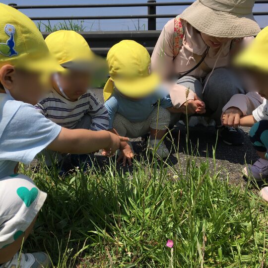 星のおうち幕張北6月の外遊び