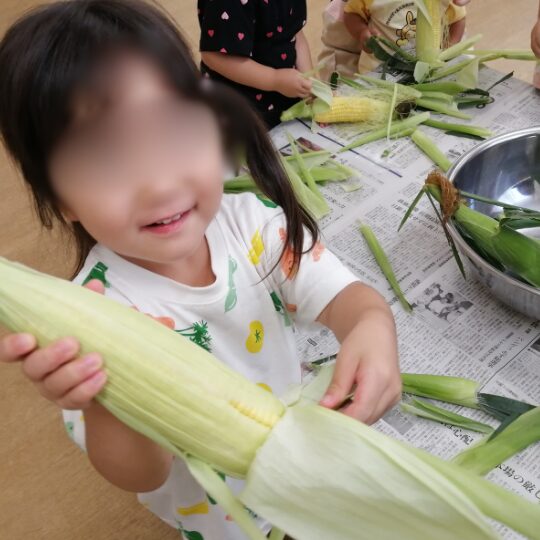 とうもろこしの皮をむくにじのこ園児