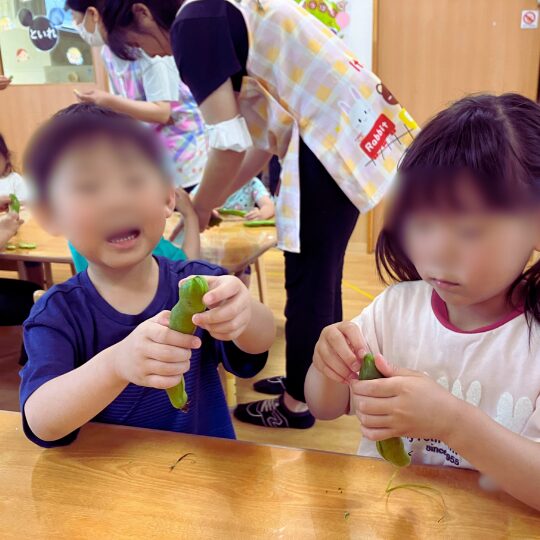 そらまめの鞘をむく3歳児
