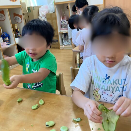 そらまめの鞘をむく園児