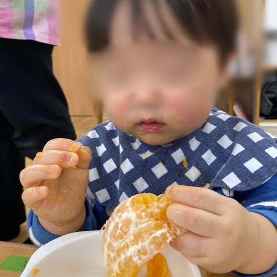 0歳児の1月食育活動(みかんの皮むき)