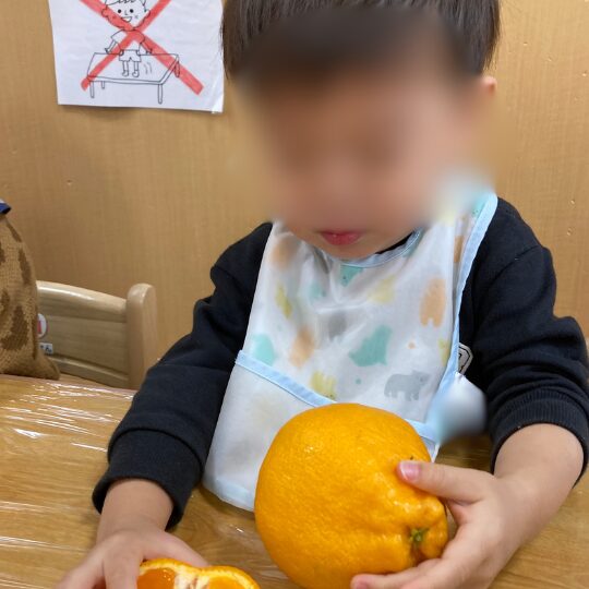 1歳児の1月食育活動