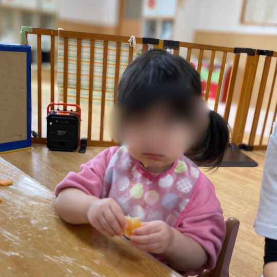 1歳児の1月食育活動(みかんの皮むき)